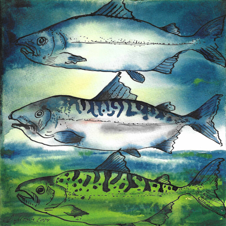 Drei Fische