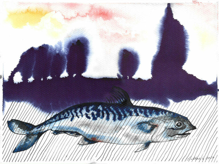 Ein Fisch