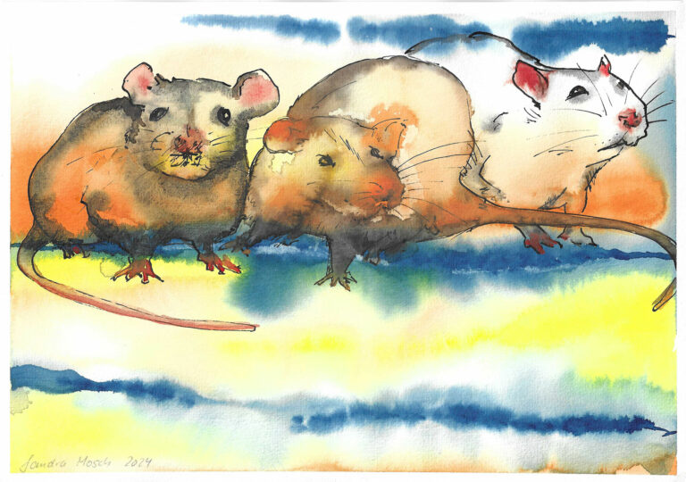 Ratten 3