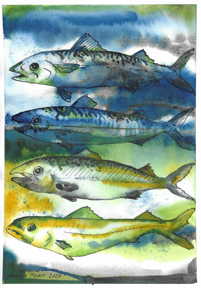 Vier Fische 1