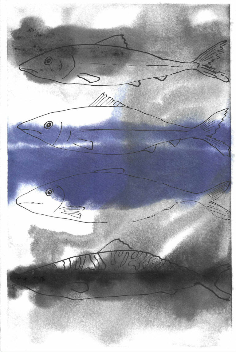 Vier Fische 3
