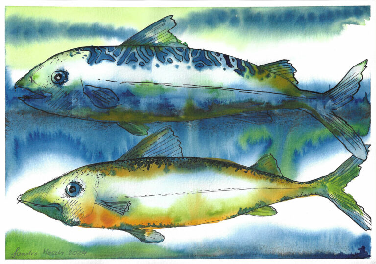 Zwei Fische