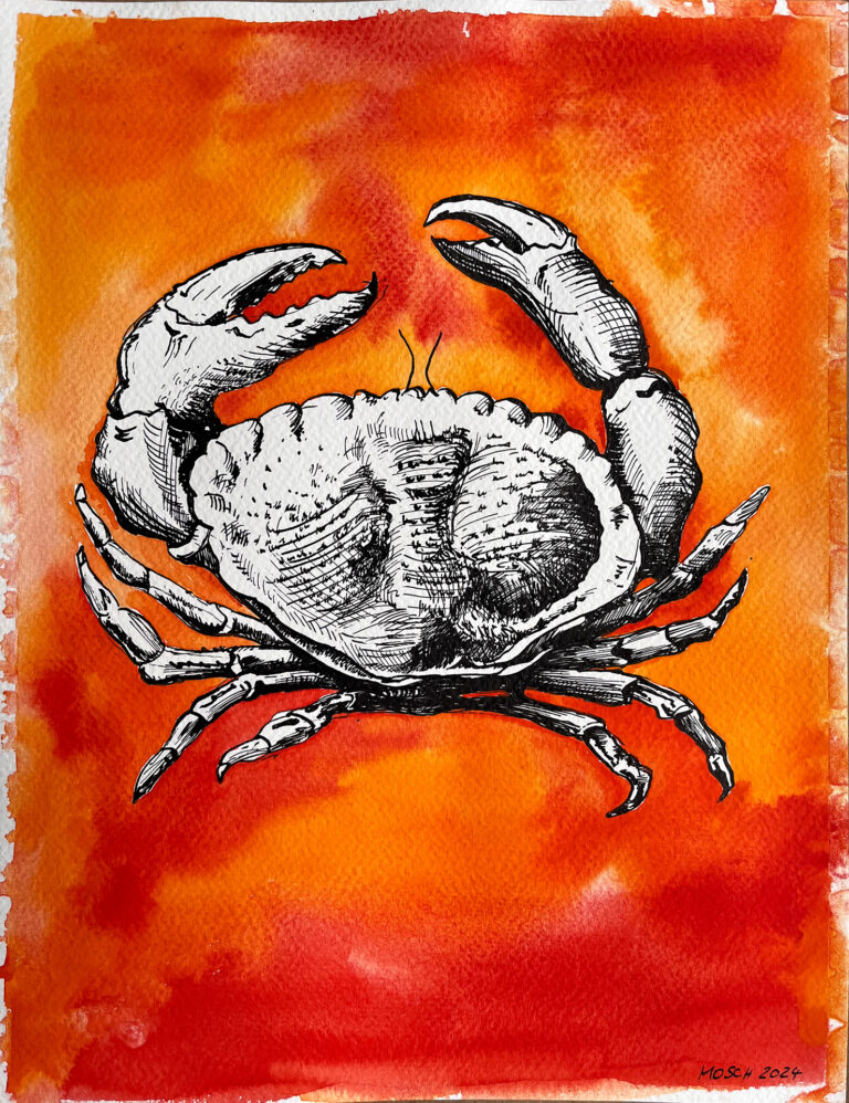 Krabbe