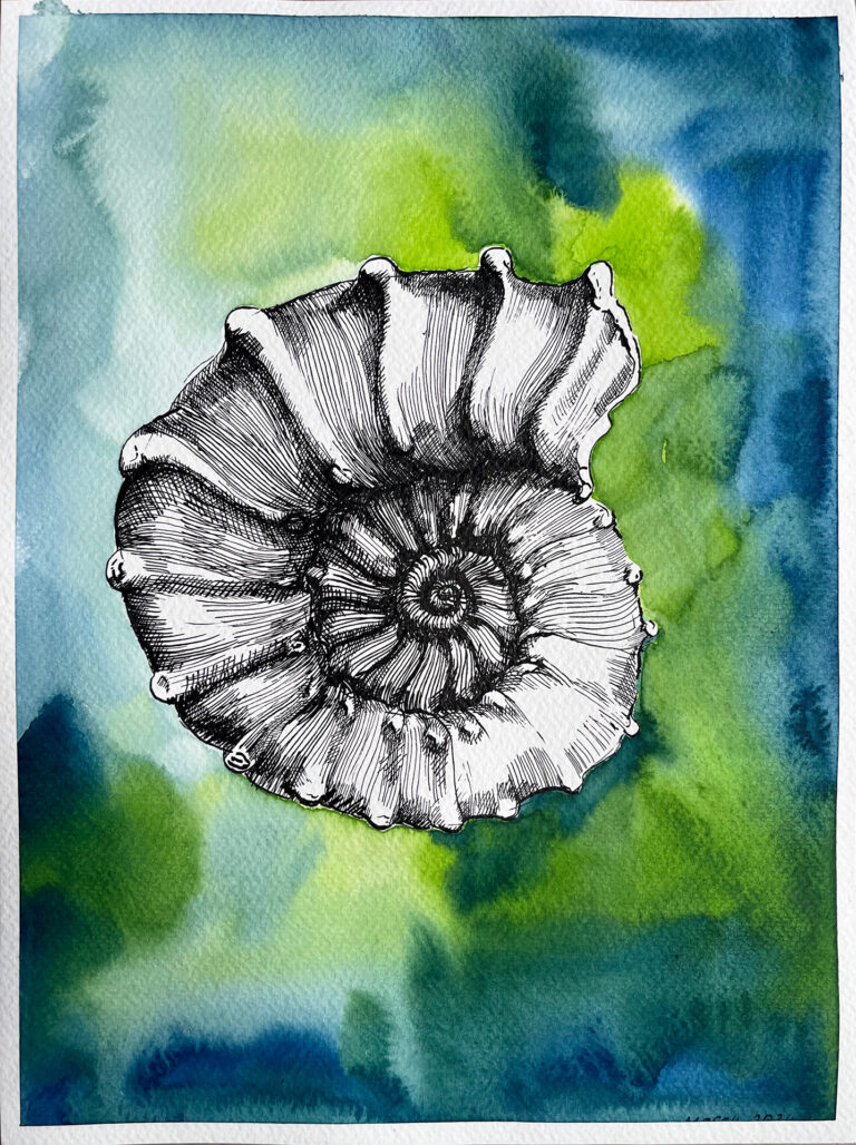 Nautilus
