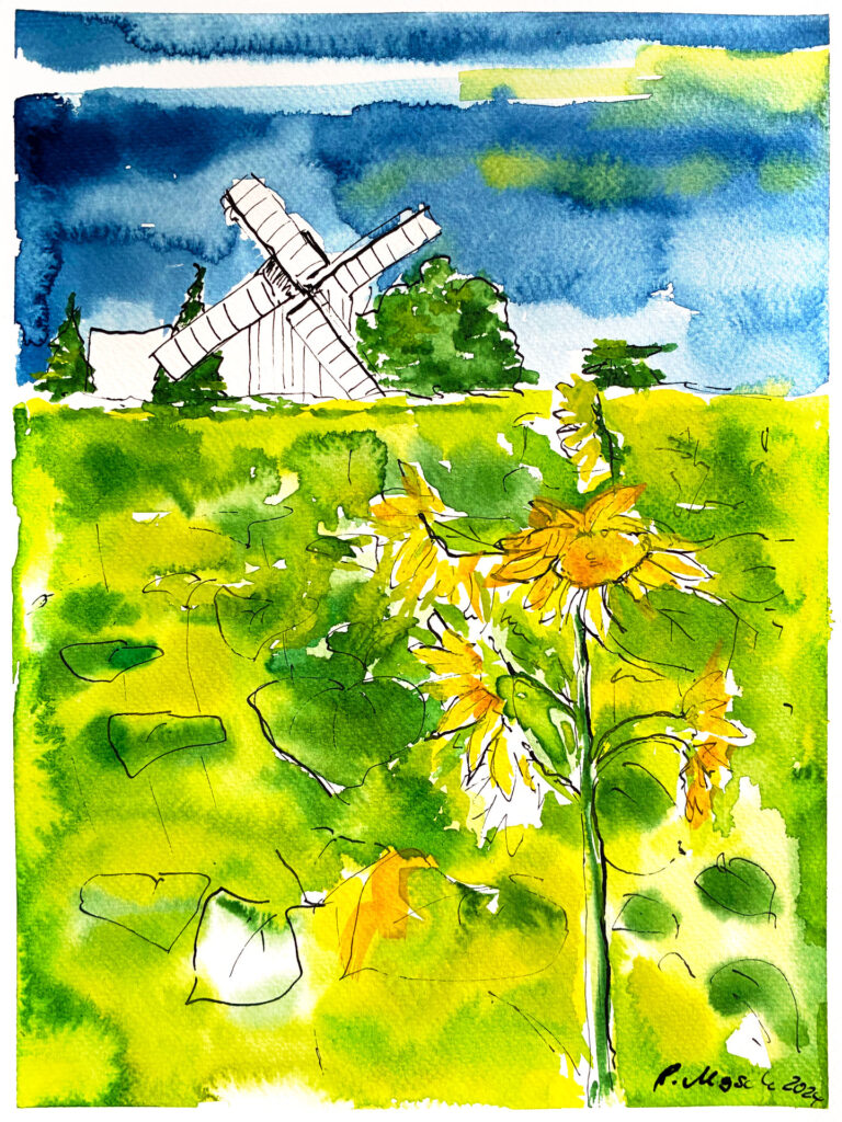 Sonnenblume und Windmühle